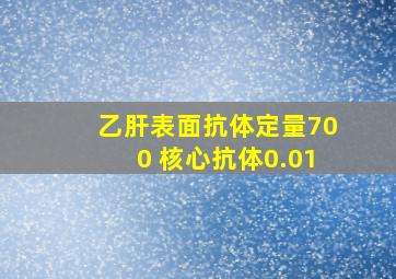 乙肝表面抗体定量700 核心抗体0.01